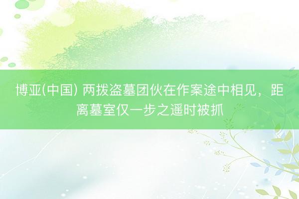 博亚(中国) 两拨盗墓团伙在作案途中相见，距离墓室仅一步之遥时被抓