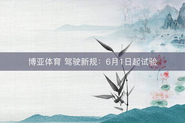 博亚体育 驾驶新规：6月1日起试验