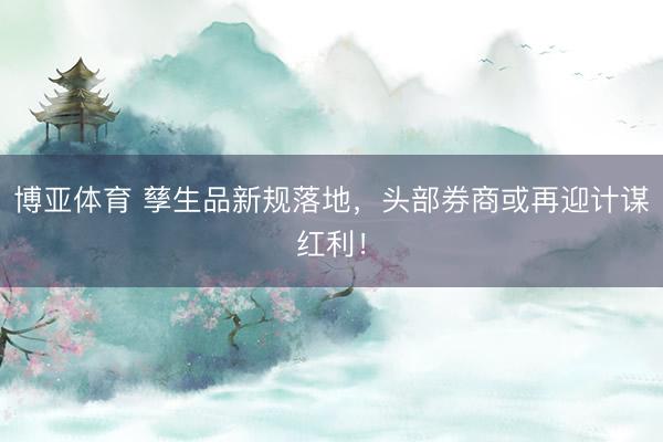 博亚体育 孳生品新规落地，头部券商或再迎计谋红利！