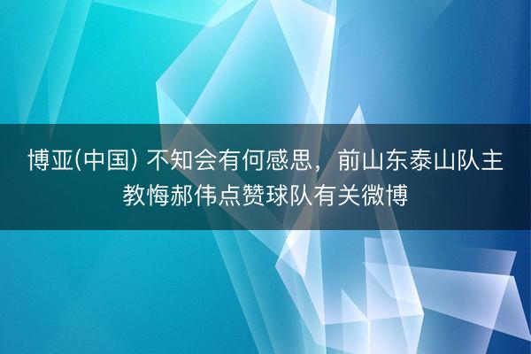 博亚(中国) 不知会有何感思，前山东泰山队主教悔郝伟点赞球队有关微博