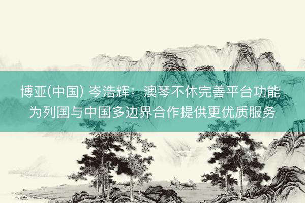 博亚(中国) 岑浩辉：澳琴不休完善平台功能 为列国与中国多边界合作提供更优质服务