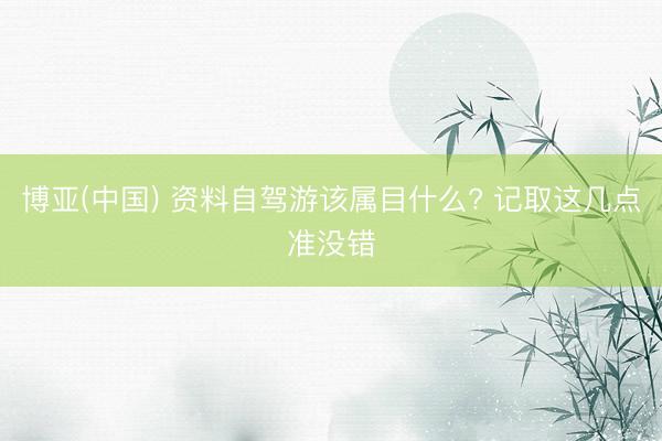 博亚(中国) 资料自驾游该属目什么? 记取这几点准没错