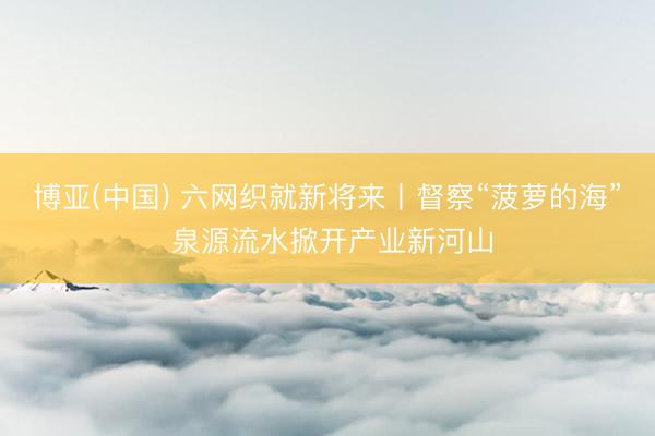 博亚(中国) 六网织就新将来丨督察“菠萝的海” 泉源流水掀开产业新河山