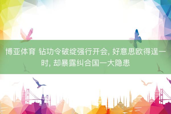 博亚体育 钻功令破绽强行开会， 好意思欧得逞一时， 却暴露纠合国一大隐患