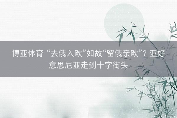 博亚体育 “去俄入欧”如故“留俄亲欧”? 亚好意思尼亚走到十字街头