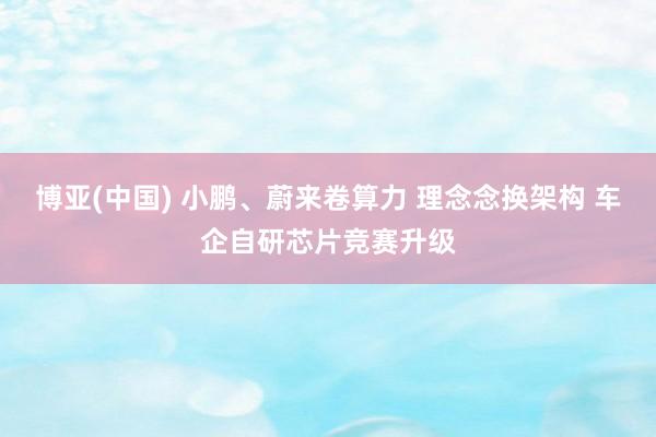 博亚(中国) 小鹏、蔚来卷算力 理念念换架构 车企自研芯片竞赛升级