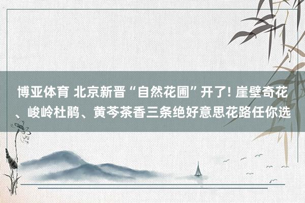博亚体育 北京新晋“自然花圃”开了! 崖壁奇花、峻岭杜鹃、黄芩茶香三条绝好意思花路任你选